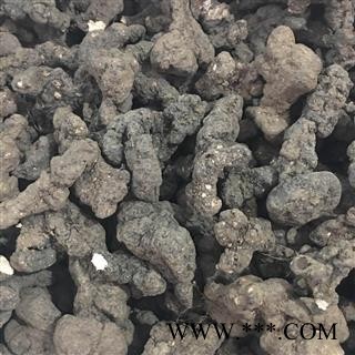 猪苓 大统个 产地 黑龙江省 茗生春药材总公司 一手货源 7天无理由退换图2
