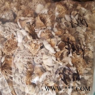 圣草康园雪莲 雪莲菌新货颜色好图3