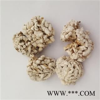 圣草康园雪莲 雪莲菌新货颜色好图2