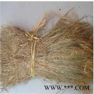 圣草康园中药材 金丝草 毛毛草 笔仔草 牛尾草 猴毛草 猫毛草 马鞍草图2