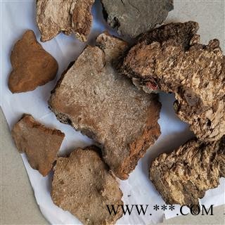 瑞森药材行斑褐孔菌 斑褐灵芝 层卧孔菌 长白山真菌图2