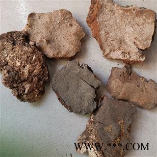 瑞森药材行斑褐孔菌 斑褐灵芝 层卧孔菌 长白山真菌图3