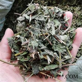 九盛堂中药材冬凌草 冰凌花 冰凌草 六月令 山荏 明镜草图3