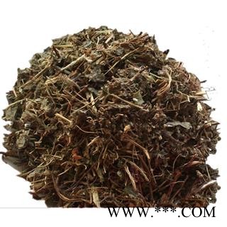 中药材 酢浆草 炸酱草 酸浆草 酸酸草 斑鸠酸图2