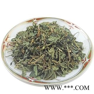 小青草   爵床草 六角英 孩儿草 中药材图4