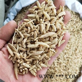 麦冬 川麦冬小统货 产地 四川省绵阳市图3