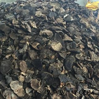 野生薄树芝 黑块灵芝 产地直销图3