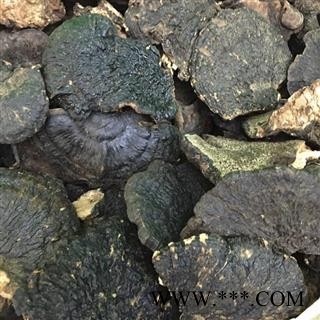野生薄树芝 黑块灵芝 产地直销图2
