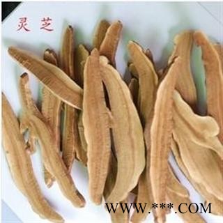 灵芝 选 产地 安徽省六安市霍山县图3