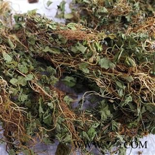瑞森药材行马蹄金 金精草黄胆草 小金钱草螺 丕草 小马蹄草 荷包草 落地金钱图2