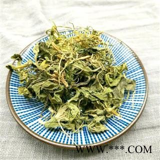 紫花地丁 地丁草 苦地丁铧头草紫花中草药 有甜地丁25图2
