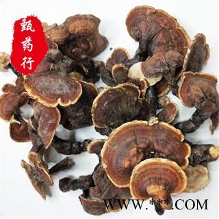 灵芝 西藏白心灵芝 正品统货 一手货源批发 产地西藏 甄选药材行 为你真选好药材图3