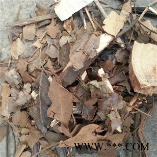 圣草康园 猴耳环 猴耳环图2