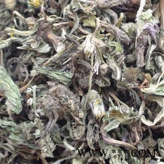 圣草康园蒲公英 家种蒲公英段 蒲公英段 新货 颜色好图2