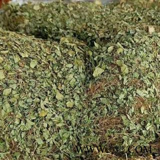 圣草康园马蹄金 小金钱草 荷包草 肉馄饨图3