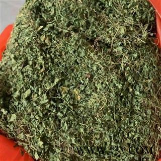 圣草康园马蹄金 小金钱草 荷包草 肉馄饨图2