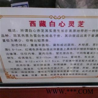 圣草康园中药材  白心灵芝 西藏白心图3