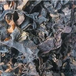 诺源药材行昆布   水洗昆布  另有海藻图2