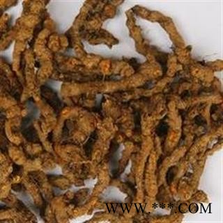 黄连 黄连选个 产地 四川省图2