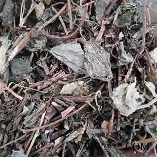 金钱草 小叶金钱草棕褐色统段 产地 四川省图2