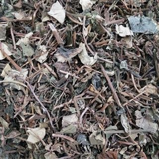 金钱草 小叶金钱草棕褐色统段 产地 四川省图3