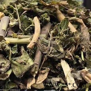 瑞森药材行猫眼草猫儿眼草 猫耳草 打碗花 新货图2