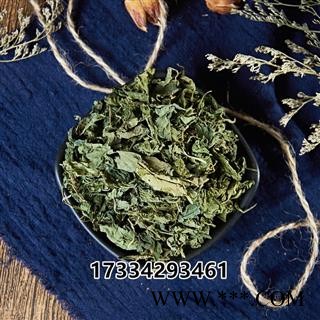 中药材紫花地丁草苦地丁草铧头草光瓣堇菜犁头草图2