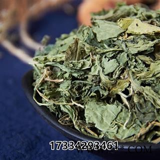 中药材紫花地丁草苦地丁草铧头草光瓣堇菜犁头草图3