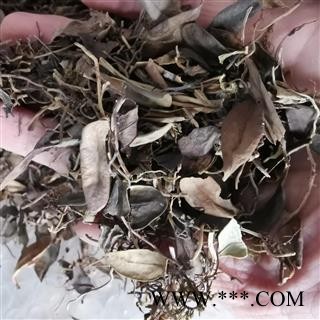 瑞森药材行抱石莲  风不动 鱼鳖草 金丝鱼鳖 山豆爿草 抱树莲图1