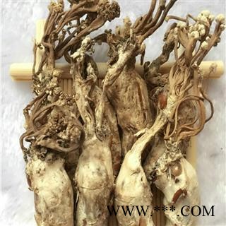 煜庭药业 蝉花 金蝉花图4