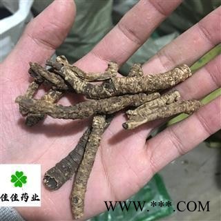 西藏胡黄连 西藏胡黄连选货 供应各种中药材 冷背货 矿石等 产地 西藏自治区图2