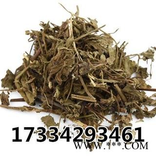 仙鹤草 新鲜中草药材 龙牙草 子母草 草龙牙图3