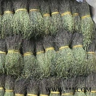 瑞森药材行独脚金  独角柑 疳积草 黄花草  新货颜色好图2