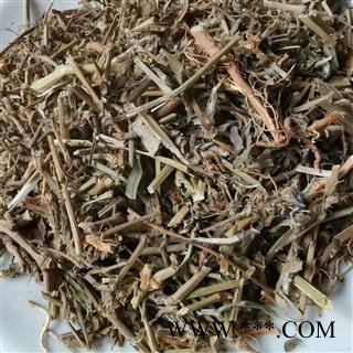 香薷草  仁丹草 见肿消 水益回茶母 接骨草 鱼香草 秀山茶图3