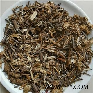 香薷草  仁丹草 见肿消 水益回茶母 接骨草 鱼香草 秀山茶图2