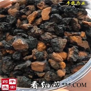 桦树茸颗粒 黑金丁块 正桦树茸 白桦泪 桦树泪  白桦茸桦树黄 桦树菇 桦褐孔菌 西伯利亚灵芝图2