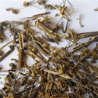 圣草康园中药材 青叶胆 肝炎草 当药 獐牙菜图2