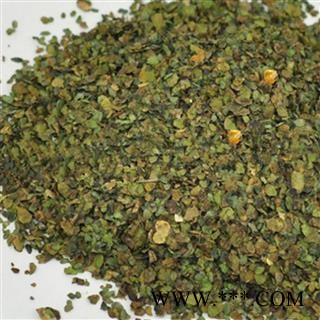 圣草康园浮萍 青萍 田萍 浮萍草 水浮萍  绿背浮萍 紫背浮萍图3