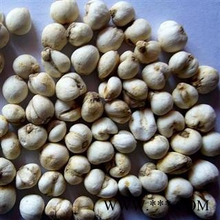 川贝母 正品川贝母选货 0.6-0.8 实物图 纯正品 产地 四川省图3