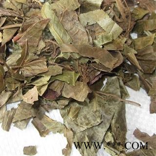 圣草康园腹水草 两头爬 两头粘 两头镇 仙桥草 钓鱼竿 爬岩红图2