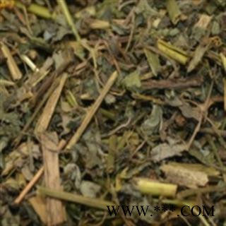 圣草康园断肠草 白屈菜 土黄连 牛金花 八步紧 大茶药 大炮夜 野蔓图2