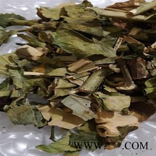 大驳骨 大还魂 龙头草 大驳骨丹 大骨风 黑叶爵床、大接骨 七天无理由退货圣草康园图2