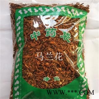 圣草康园马兰花 马莲花 马蔺 蝴蝶花 蝴蝶兰图2