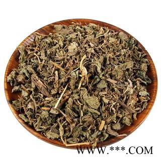 新货车前草 干车前草 车轮菜 中药材图4