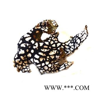 九盛堂 老龙皮 石龙皮 网肺衣 石龙衣图3