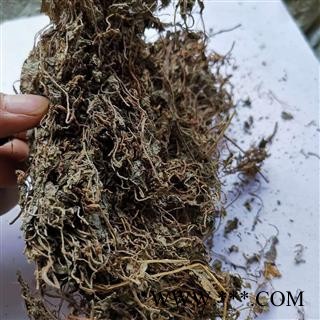 铜锤玉带草 地茄子草 翳子草 地浮萍 扣子草 马莲草 铜锤草 红头带 土油甘 白路桥 三脚丁图3