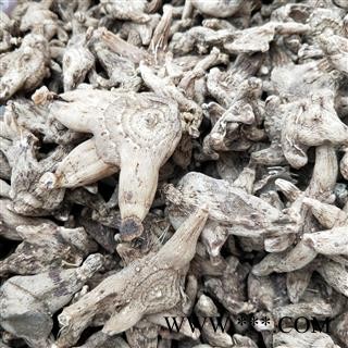 白芨个 白及大选个 产地 贵州省遵义市图2