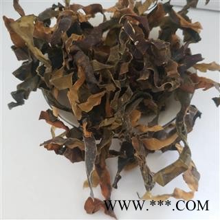 昆布&【国舜堂】实物拍照产地货源中药材批发供应【昆布】图2