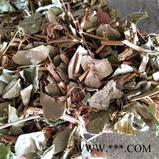 大叶金钱草 金钱草灰绿色统段 产地 广西壮族自治区南宁市市辖区图3