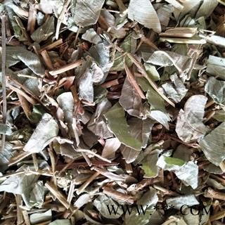 大叶金钱草 金钱草灰绿色统段 产地 广西壮族自治区南宁市市辖区图4